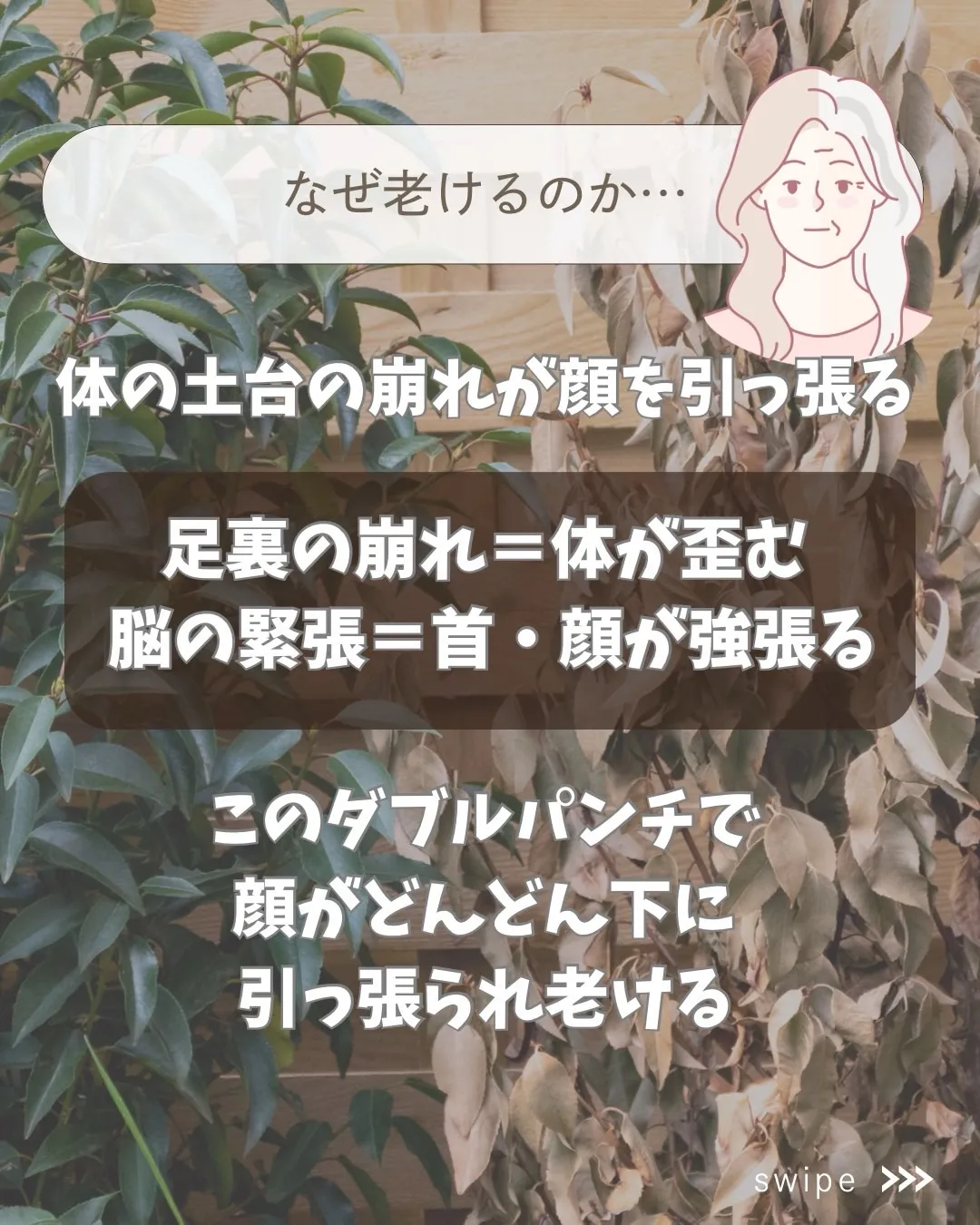 高知市唐人町2人3客です！