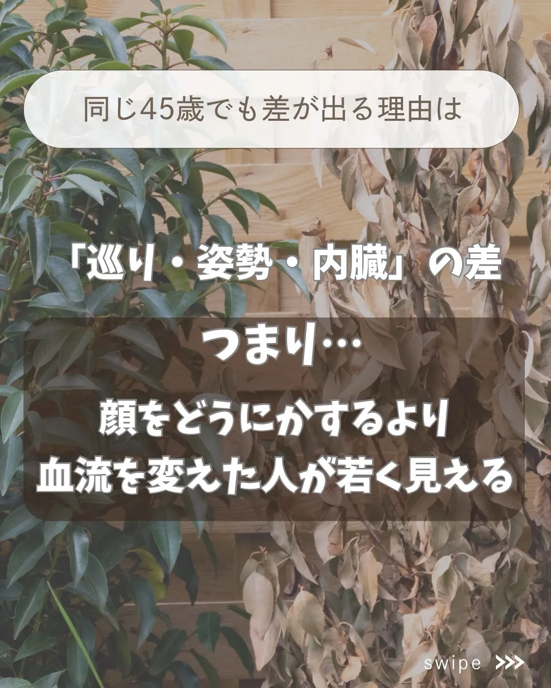 高知市唐人町2人3客です！