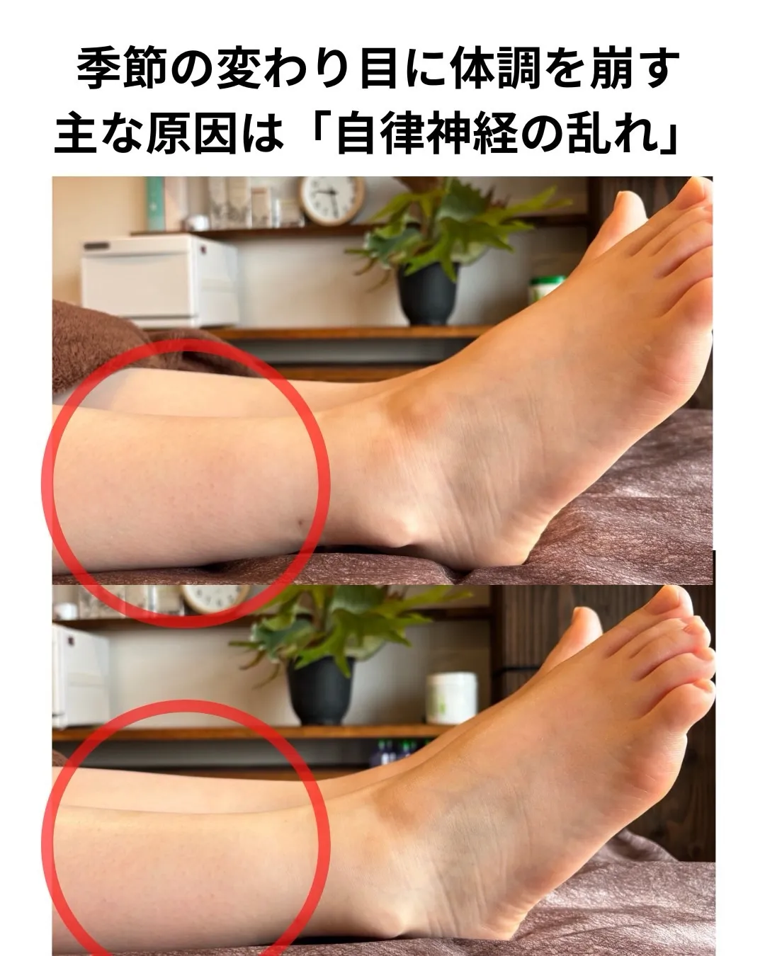 高知市唐人町2人3客です🌿