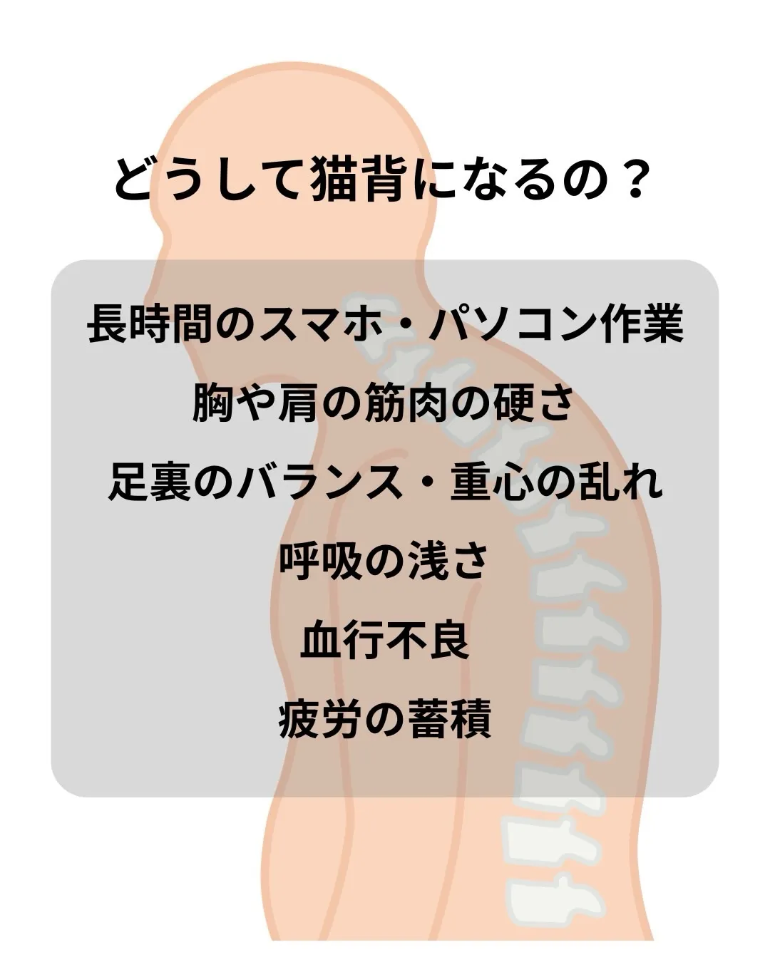 高知市唐人町2人3客です🌿