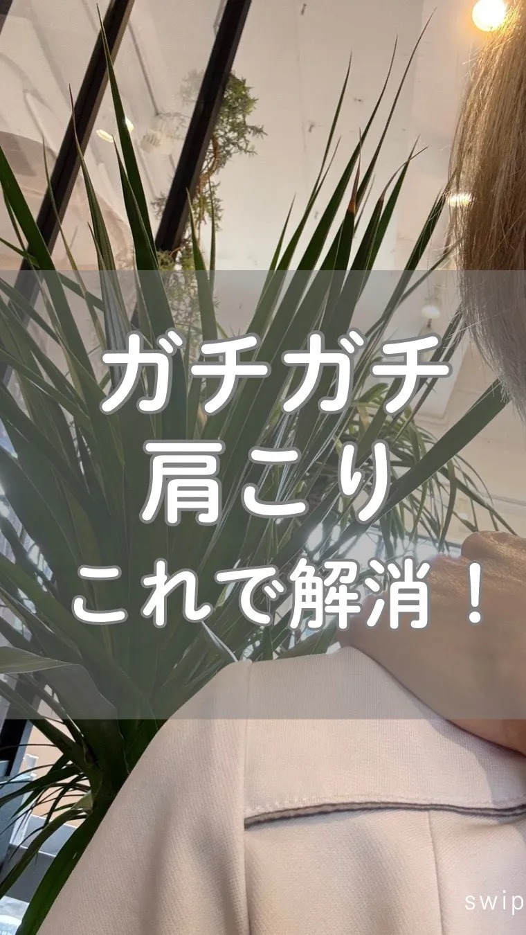 高知市唐人町2人3客です🌿