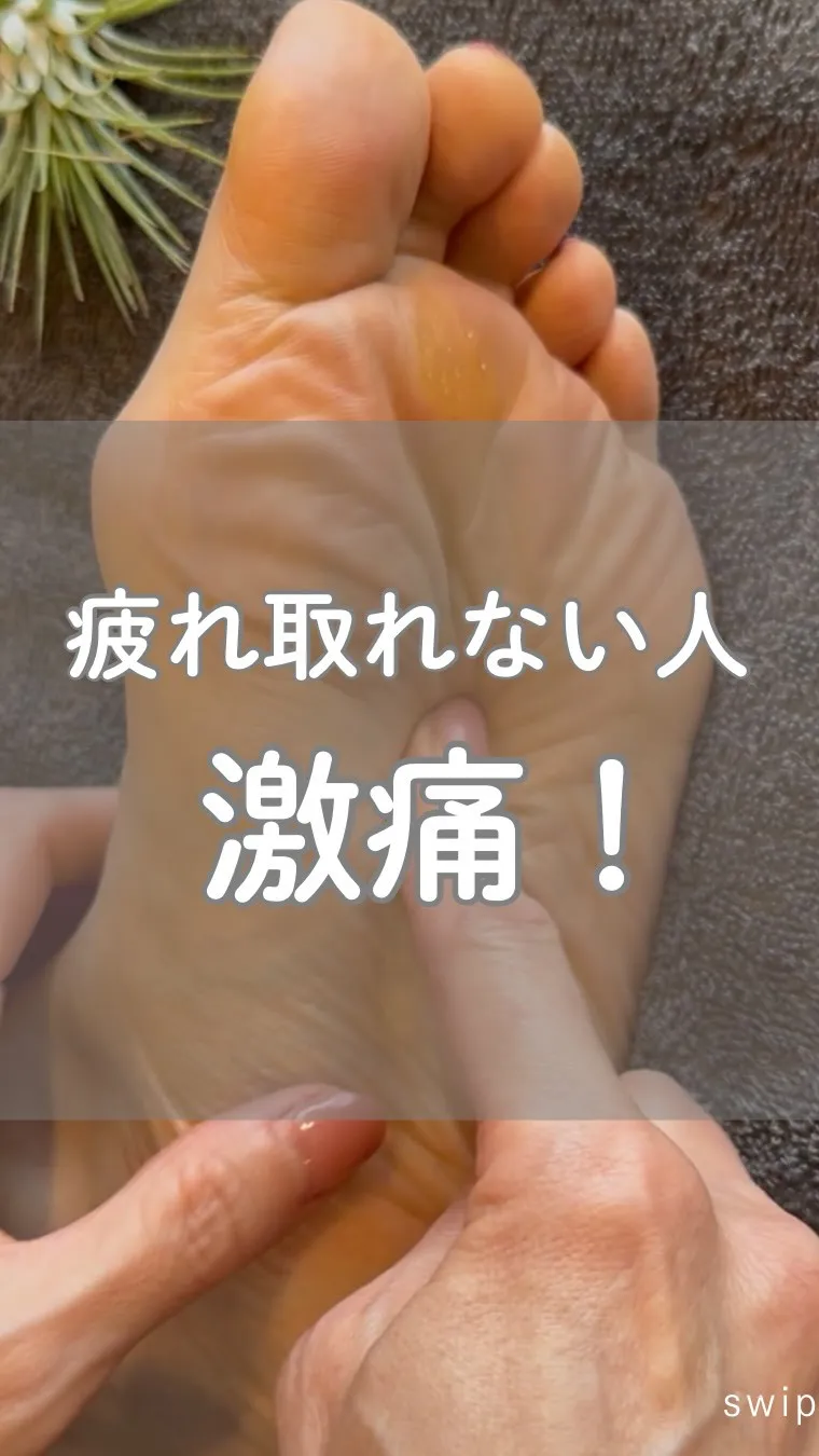 高知市唐人町2人3客です🌿