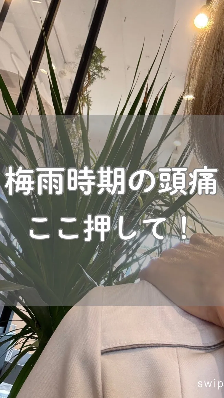 高知市唐人町2人3客です🌿