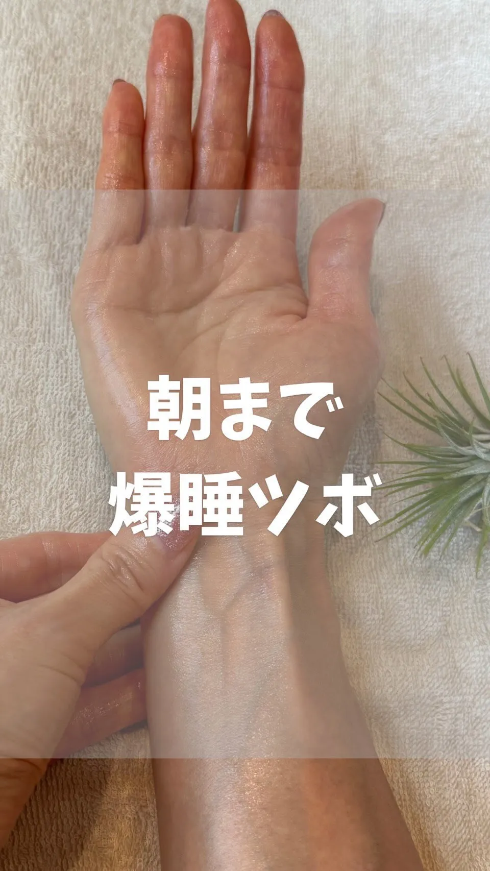 高知市唐人町2人3客です🌿