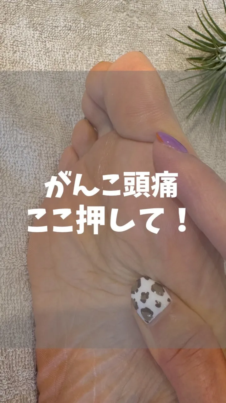 高知市唐人町2人3客です🌿
