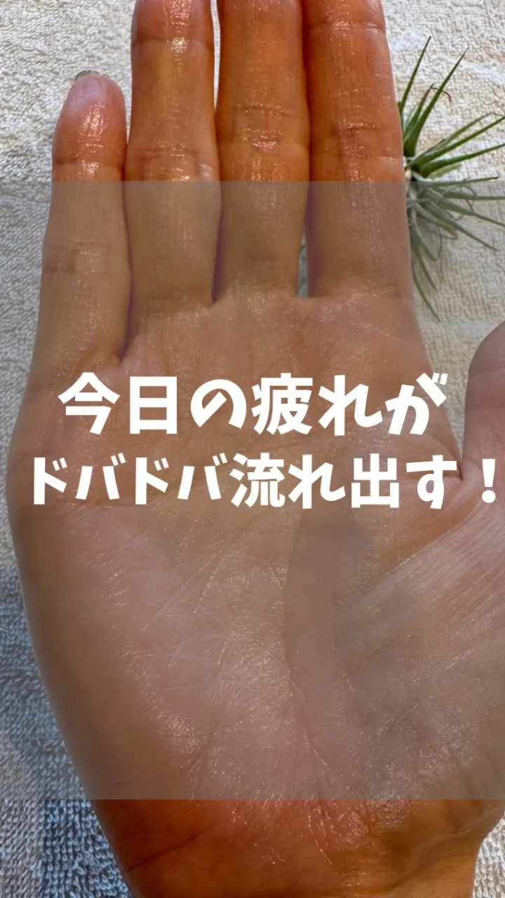 高知市唐人町2人3客です🌿